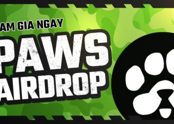 10 Điều Cần Biết Về PAWS: Dự Án Airdrop Tiềm Năng Hàng Đầu 2024