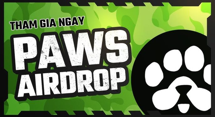 10 Điều Cần Biết Về PAWS: Dự Án Airdrop Tiềm Năng Hàng Đầu 2024