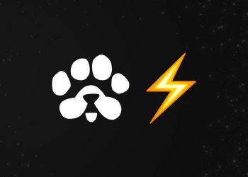 9 Lý Do Bạn Nên Tham Gia PAWS Airdrop