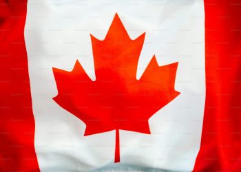 Top 5 Influencer Ngành Crypto Tại Canada