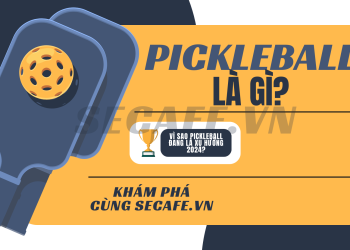 PickleBall là gì? Tại sao xu hướng PickleBall bùng nổ năm 2024?