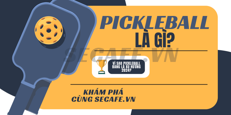 PickleBall là gì? Tại sao xu hướng PickleBall bùng nổ năm 2024?